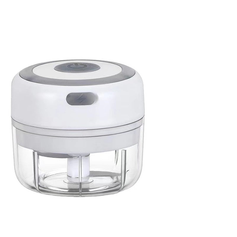 Mini hachoir électrique pour condiments